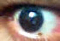 Close-up of a human eye highlighting the iris and pupil, emphasizing details in color and texture, relevant for discussions on eye anatomy or vision.